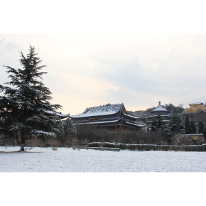 陵园雪景